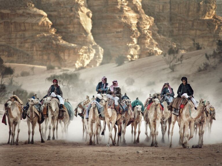 desert-camels-jordan-bedouin-shepherds-camel-riders_t20_9kdZKy-768x575-1.jpg
